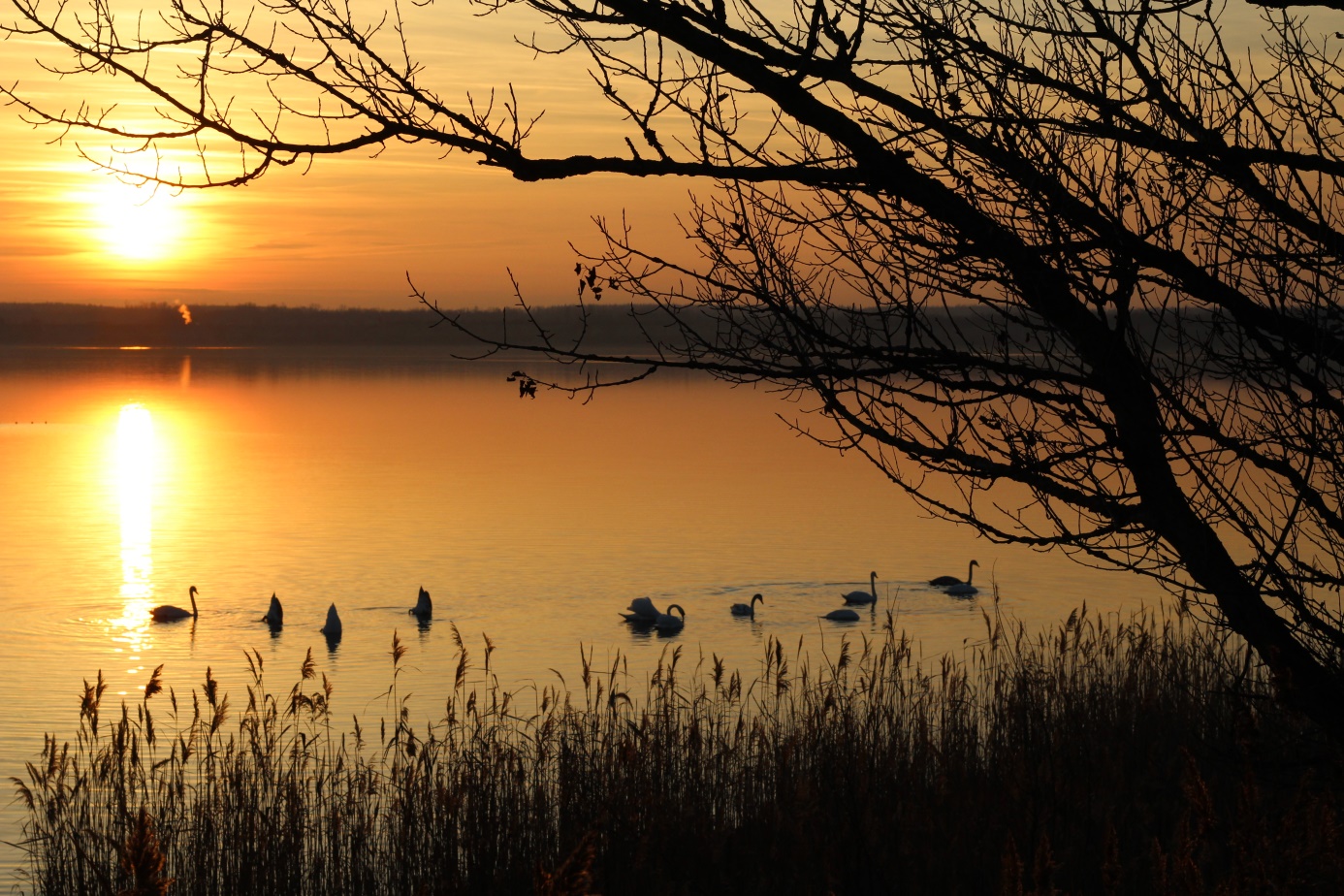 Abendstimmung am See