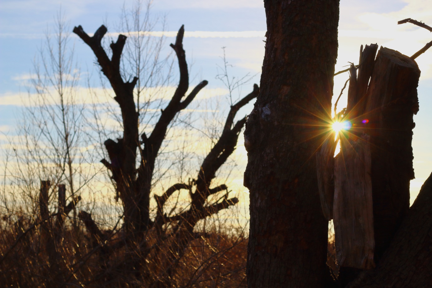 Gestalten mit Licht: Goldene Stunde